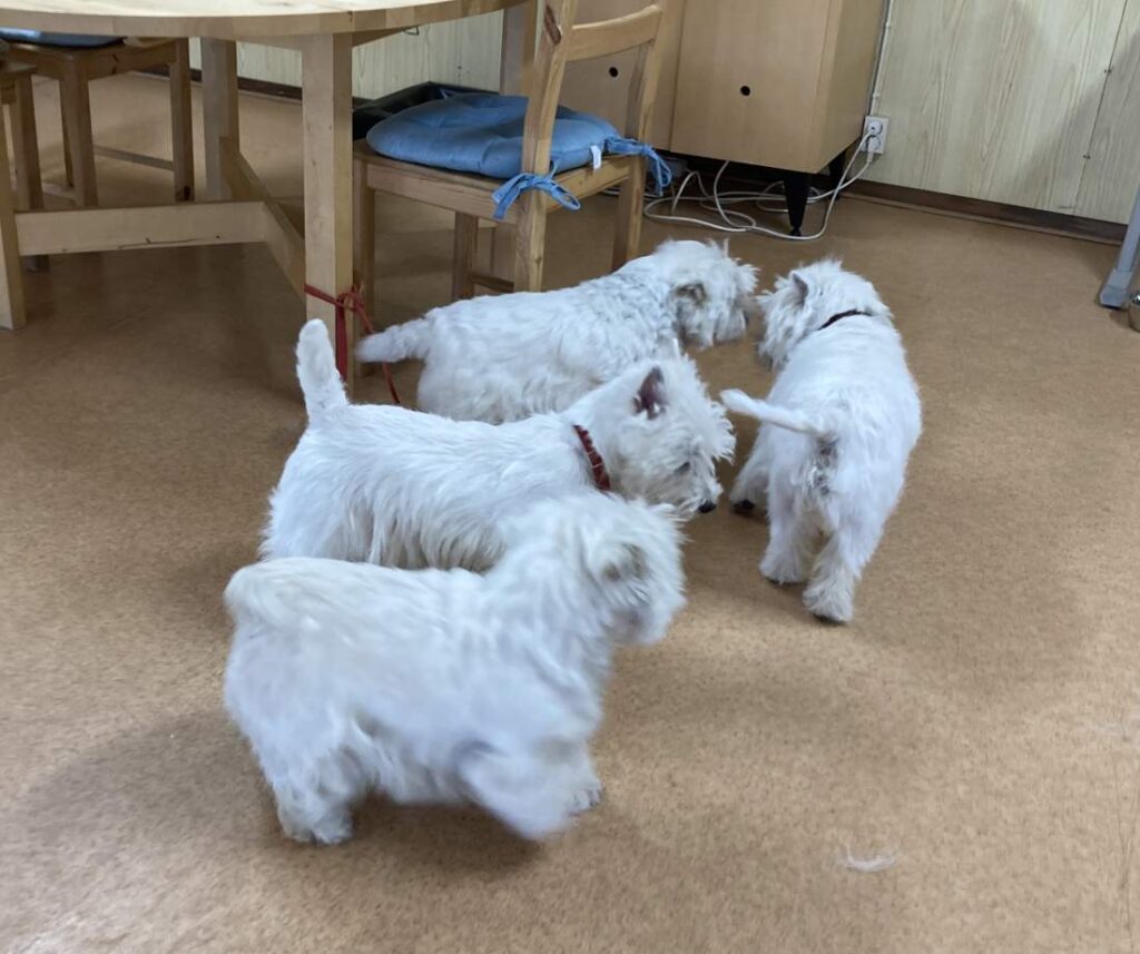 Vår trevliga trimträff