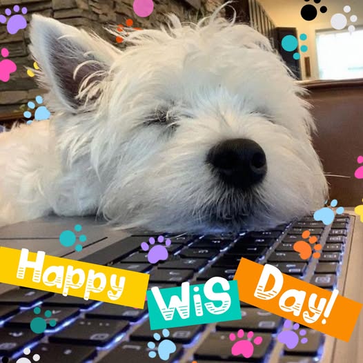 Välkomna till WiS nya hemsida!